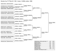 Pavouk �ty�hry �en