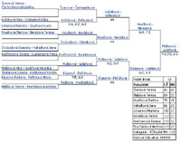 Pavouk �ty�hry dorostenek