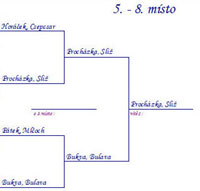 Pavouk o 5. - 8. msto