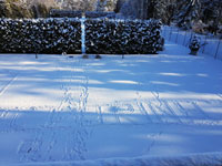 N�pis TC T�inec ve sn�hu