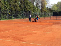 Jarn� �prava dvorc�