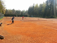 Jarn� �prava dvorc�