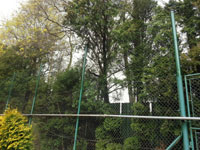 Pohled na nov� plot