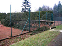 Spadl� strom na plot