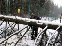 Ren� Farga� p�i �ez�n� d�eva