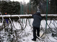 Ren� Farga� p�i �ez�n� d�eva