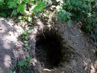 J�my pro nov� t�je