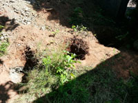 J�my pro nov� t�je