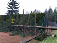 Spadl� strom na plot