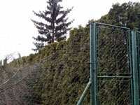 Po�kozen� oplocen�