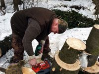 Dopl�ov�n� benz�nu do pily