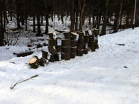 Na�ezan� �palky