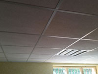 Nov� podhledy v klubovn�