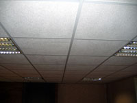 Nov� podhledy v klubovn�