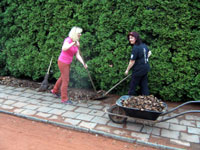 Hrab�n� list� Motykovi