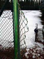 Pro�ezan� v�pl� branky