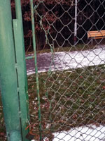 Pro�ezan� v�pl� branky