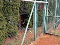 D�ra v zadn�m plot�