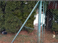 D�ra v zadn�m plot�