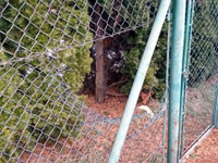 D�ra v zadn�m plot�