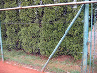 Opravem� zadn� plot