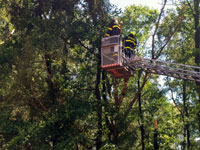 Z�sah hasi�sk�ho sboru