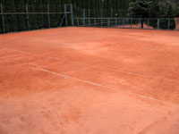 Stahov�n� star� antuky