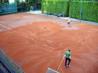 N�syp nov� antuky