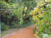 Poni�en� plot na dvorci �.3