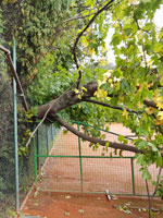 Poni�en� plot na dvorci �.3