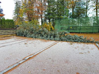 Spadl� strom na centr�ln�m dvorci