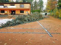 Spadl� strom na centr�ln�m dvorci