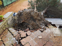 Poni�en� dla�ba