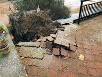 Poni�en� dla�ba