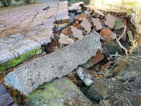 Vyrvan� obrubn�k