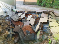 Vyrvan� obrubn�k