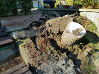 Vyrvan� obrubn�k