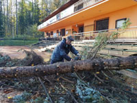 Ren� p�i �ez�n� stromu