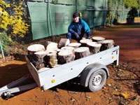 Ale� p�i odvozu �pal��k�