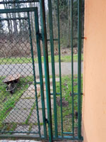 Branka na centr�ln�m dvorci