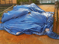 Antuka je na dvorc�ch