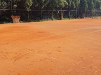 Rozhoz antuky po dvorc�ch