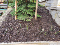 Nov� zasan� ke�e a k�ra