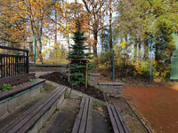 Nov� strom na centr�ln�m dvorci