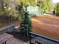 Nov� strom na centr�ln�m dvorci