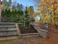 Nov� strom na centr�ln�m dvorci