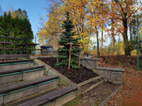 Nov� strom na centr�ln�m dvorci