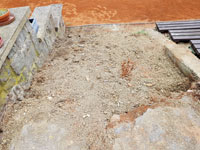 Vytrhan� ko�en na centr�ln�m dvorci