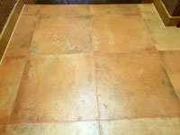 Sp�rov�n� dla�eb