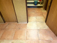 Fin�ln� podoba dla�by